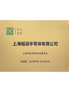 上海专精特新